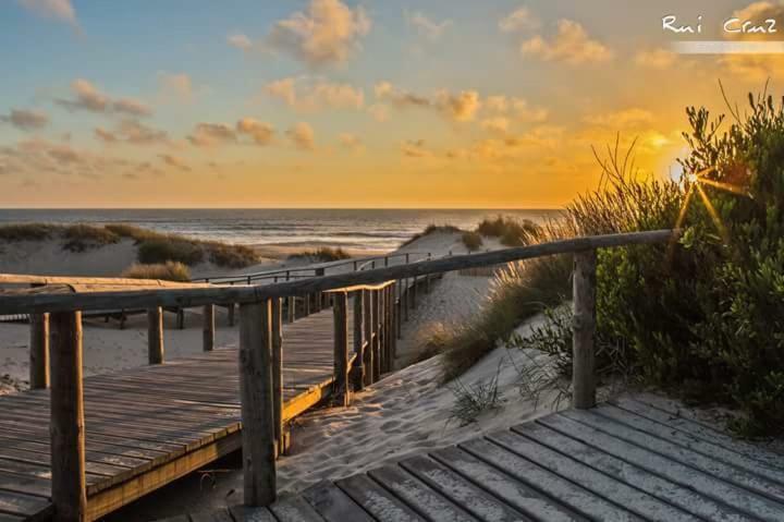 Hc Torreira Beach Eksteriør billede